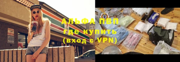 винт Алексин