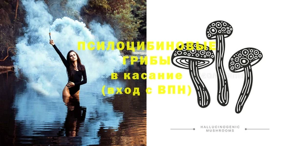 винт Алексин