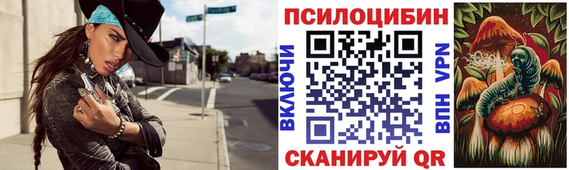 Галлюциногенные грибы Psilocybine cubensis  сколько стоит  дарк нет состав  Лениногорск 